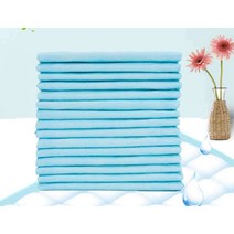 성인 소변 패드 1회용 일회용 간호 기저귀 요양 병원, 60x60 경제 모델 100개 1x1cm