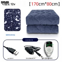 차량용 전기장판 1인용 USB 소형 저압직류 야외 캠핑매트 카방카 12V 전기요, 12V멀티Usb170*80, 하나