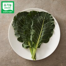 친환경 유기농 케일 녹즙 케일 즙용 쌈용 1kg 2kg 3kg 산지직송, 유기농 즙케일 1kg, 1개