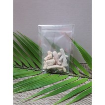 염도 제거 뼈산호 달팽이 사육장 어항 인테리어 칼슘 뼈산호사 20g