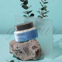 프리메라 알파인베리 워터리크림 대용량 100ml 유통기한 26년