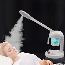 헤어스팀기 헤어스티머 미용실 가정용헤어스팀기 헤어캡, 220V 가정용 확장 노즐 + 터치스크린