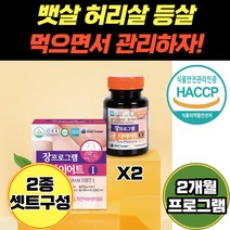 팔뚝살 엉밑살 다이어트 프로그램 2개월 가르시니아 단기간 살빼는 방 법 출산후 몸처짐 뱃살 처짐 등살 옆구리살 안쪽허벅지살 케어 컷팅 빼기 프락토올리고당 치커리 추출 분말 함유