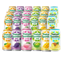 트로피카나 스파클링 오렌지 포도 사과 망고 복숭아 파인 355ml x24캔, 24캔