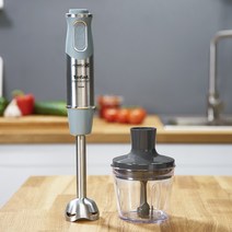 테팔 마스터 블렌드 핸드블렌더 HB65IDKR
