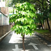 망고 나무/높이 1m20~1m80cm/공간에 맞게 주문제작/야자 인조나무/조경 인테리어, 1m20cm