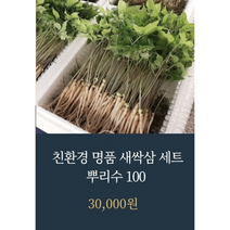 다소니 새싹삼 100% 국내산 수경재배 100뿌리, 다소니농원 새싹삼 100뿌리