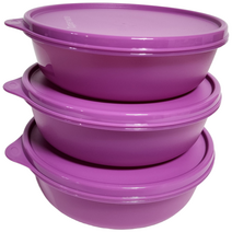 타파웨어 모듈러 보울 1L 3P (색상 선택), 1세트, 퍼플