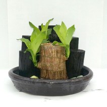 희망참숯농원 숯가습기, 1