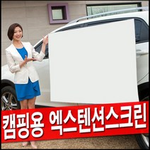 엑스젠 엑스텐션 빔스크린 스크린 캠핌용 미니빔 와이드 캠핑 스크린 빔프로젝터 빔프로젝트 프로젝션 이동형 이동식 포터블 차량 수납용 60인치 80인치 100인치, 01.60인치 스크린