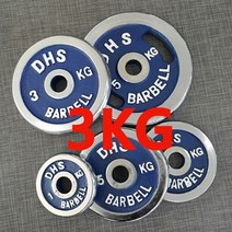 DHS 도금원판, 3kg, 1개