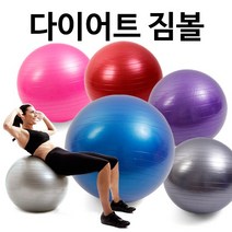위시 짐볼(보라)45cm + 발펌프