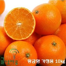 제주귤낭마을 프리미엄 가정용 10kg, 1box
