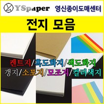 영신종이도매센터 전지 모음, 선택7) 120g_하늘_컬러 색지 전지_10장, 1세트