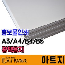 올페이퍼 아트지 100g, A3, 250개