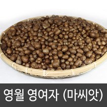 강원도 영월 산마 장마 3kg 단마 산지직송, 1박스, 마씨앗(영여자) 3kg
