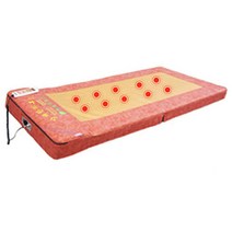 한의바이오 투타베드 일반형 10구 / 온열마사지침대 전신안마침대 전신안마베드 두타베드 두타매트 진동매트 병원용