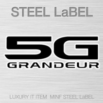 minif 그랜저HG 스틸라벨/외부용/mfsl-52 주차알림판/, H5G19
