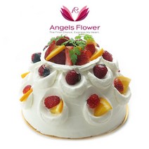 [엔젤스플라워] 축하 꽃바구니 공기정화 관엽식물 꽃배달서비스, F17CM_케익(중)
