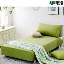 파란들 CL라텍스폼 일체형 단면매트리스 싱글침대, 그린(벨로아)