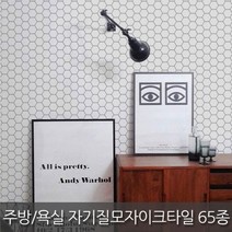 중앙데코 자기질 모자이크타일 65종 (10장이상 부자재 사은품), 51.자기질육각 50mm 화이트유광, 1개