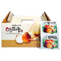 대원건강푸드 저온진공추출공법 100% 양파즙 110ml, 100팩