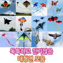 씨엠월드 유니크한 인기만점 대형연 모음 선택(낙하산 천 재질), 04_1.홍 나비연