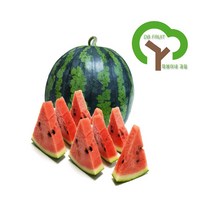 따봉이네과일 수박, 1통, 5~6kg