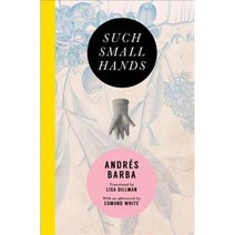 Such Small Hands, Transit Books