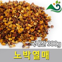 청명약초 노박열매(300g)-국내산, 300g, 1개