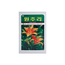 원추리씨앗 30립