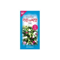 수입야생화씨앗 100선 천일홍 100립