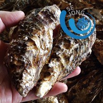세종수산 100%입망석화 5kg, 1box