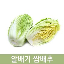 두리반농산 쌈배추1박스8kg내외, 1박스