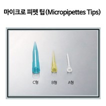 마이크로피펫 팁(Micropipettes Tips) / B형, 1000개입