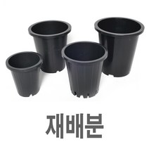 화분백화점 화분받침 플라스틱화분 물받침 CW재배분(흑색), 제품명