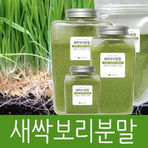 바른건강 제주도 보리새싹가루 새싹보리분말 보리순100% 국내산 제주, 1개, 100g
