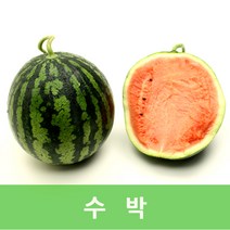 자체브랜드 하우스수박, 꿀수박4kg내외