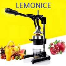 레몬아이스 오렌지 착즙기