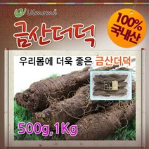 금산인삼 국내산 더덕 구이용 효소담금용더덕, 1팩, 금산더덕(특대)1kg