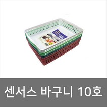 이안에다있다 센서스 바구니 10호
