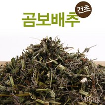 국내산 곰보배추건초 300g, 곰보배추건초300g, 1개