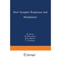 Slow Synaptic Responses and Modulation Paperback, Springer
