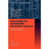 Innovation for Sustainable Electricity Systems: Exploring the Dynamics of Energy Transitions Hardcover, Physica-Verlag