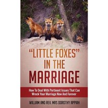 Little Foxes in the Marriage: How to Deal with Pertinent Issues That Can Wreck Your Marriage Now and Forever Paperback, House of Change