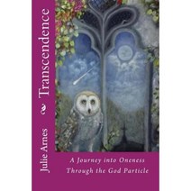Transcendence: A Journey Into Oneness Through the God Particle: Volume One Paperback, Createspace Independent Publishing Platform