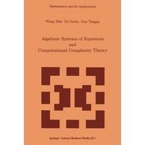 Algebraic Systems of Equations and Computational Complexity Theory, Springer