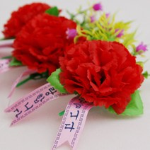 카네이션 (소)사이즈 어버이날꽃선물 꽃선물 행사선물용