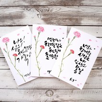 봄날프로젝트 카네이션 캘리그라피 카드 원하는 문구로 주문제작