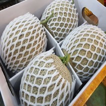 달달과수원 신선하고 맛있는 머스크 메론 6~7kg 한박스 4수 5수 6수 멜론, 4개